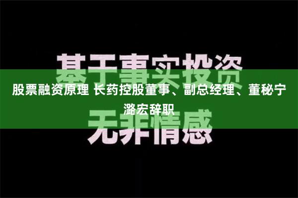 股票融资原理 长药控股董事、副总经理、董秘宁潞宏辞职