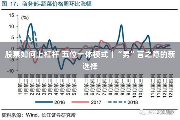 股票如何上杠杆 五位一体模式丨“男”言之隐的新选择