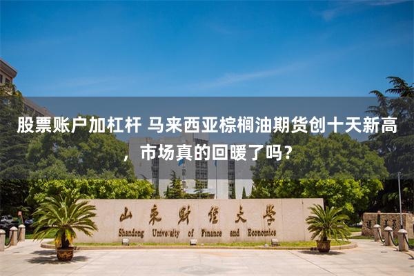 股票账户加杠杆 马来西亚棕榈油期货创十天新高，市场真的回暖了吗？