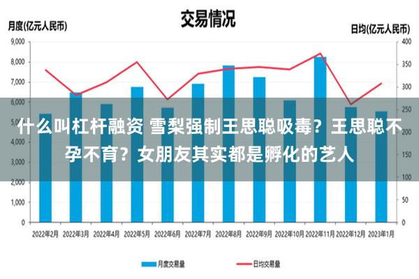 什么叫杠杆融资 雪梨强制王思聪吸毒？王思聪不孕不育？女朋友其实都是孵化的艺人