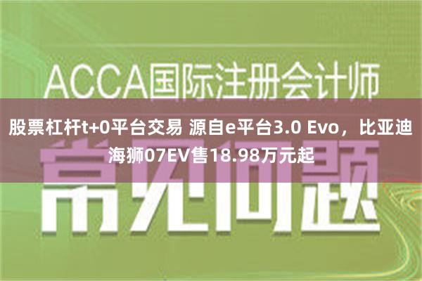 股票杠杆t+0平台交易 源自e平台3.0 Evo，比亚迪海狮07EV售18.98万元起