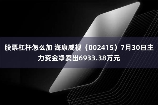 股票杠杆怎么加 海康威视（002415）7月30日主力资金净卖出6933.38万元