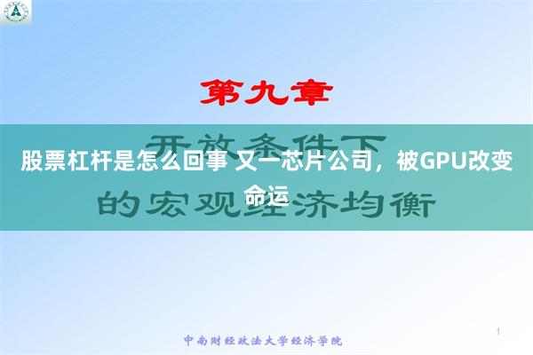 股票杠杆是怎么回事 又一芯片公司，被GPU改变命运