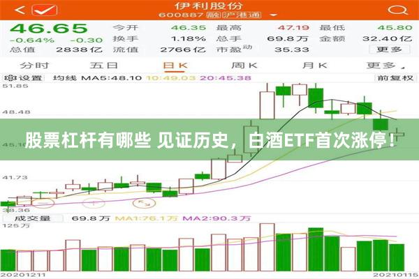 股票杠杆有哪些 见证历史，白酒ETF首次涨停！