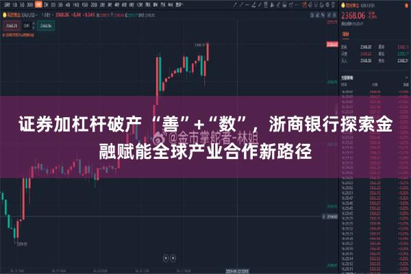 证券加杠杆破产 “善”+“数”，浙商银行探索金融赋能全球产业合作新路径