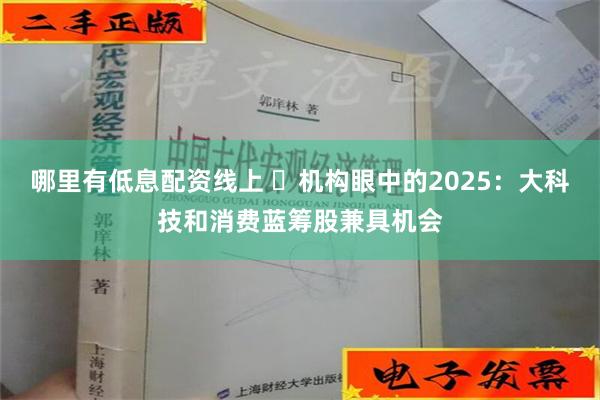 哪里有低息配资线上 ​机构眼中的2025：大科技和消费蓝筹股兼具机会