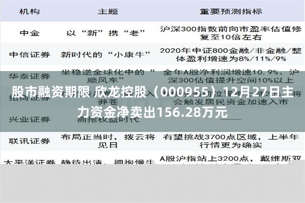 股市融资期限 欣龙控股（000955）12月27日主力资金净卖出156.28万元