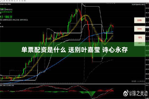 单票配资是什么 送别叶嘉莹 诗心永存